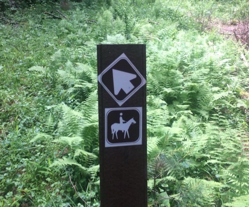 Hiking & Horseback Trail